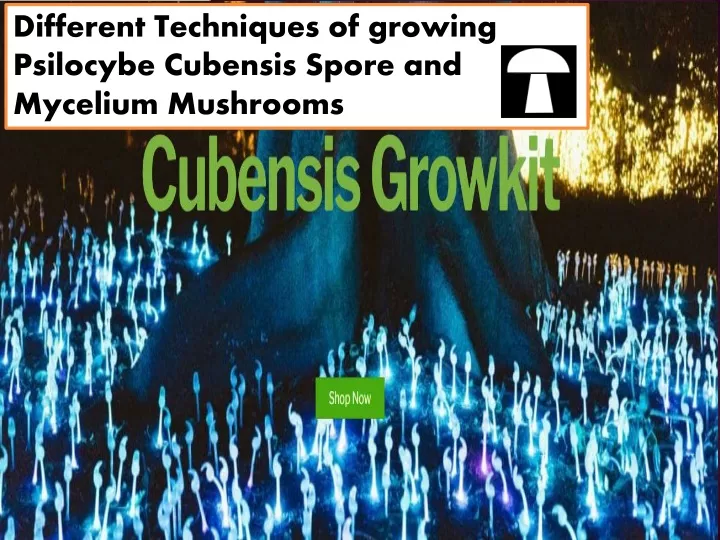 different techniques of growing psilocybe