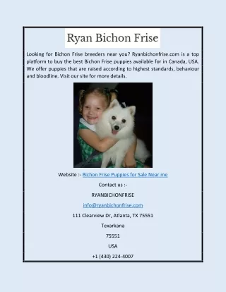 Bichon Frise Puppies for Sale Near Me | Ryanbichonfrise.com