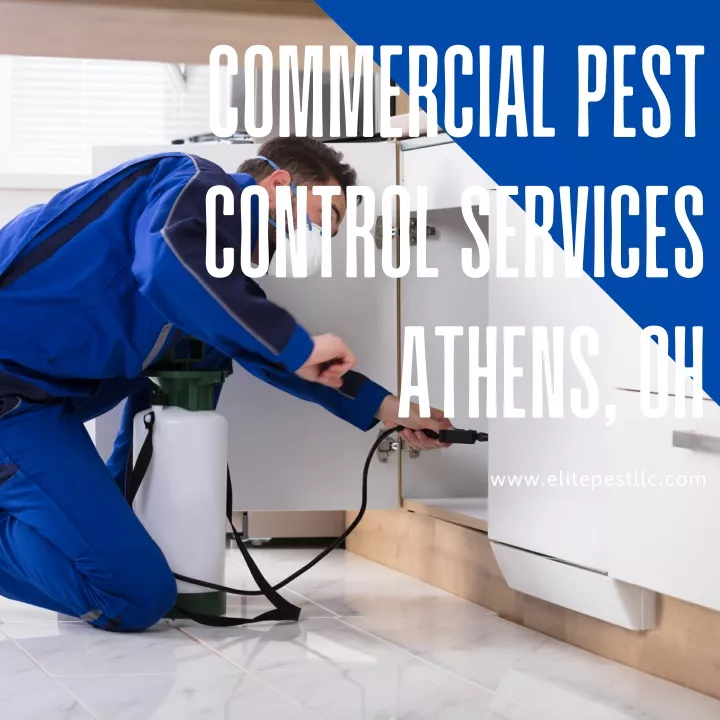 commercial pest control services athens oh