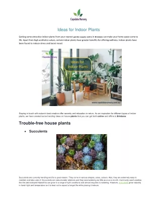 Ideas for Indoor Plants