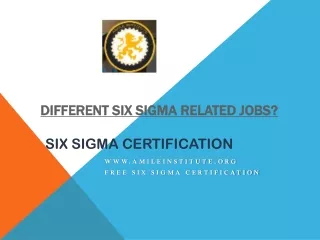 different Six Sigma related jobs