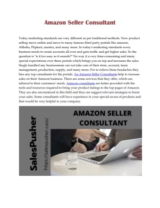 amazon seller consultant