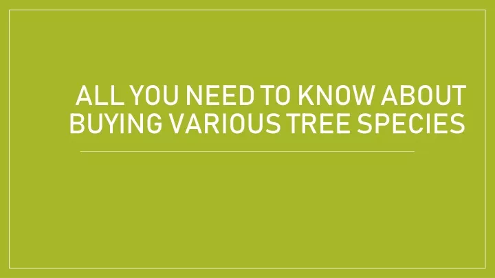 all you need to know about buying various tree species