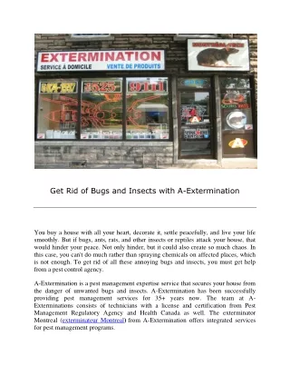 Get Rid of Bugs and Insects with A-Extermination