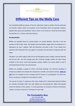 Different Tips on the Molly Care