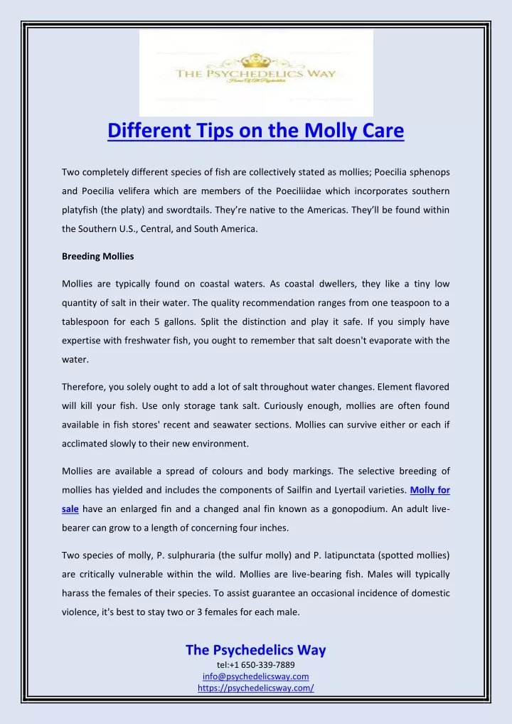 different tips on the molly care