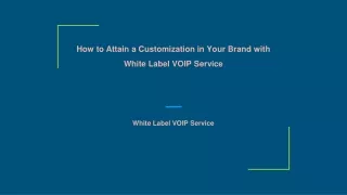 how to attain a customization in your brand with white label voip service