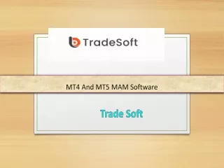 mt4 and mt5 mam software