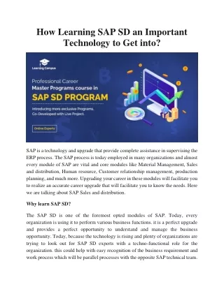 How Learning SAP SD an Important Technology to Get into?