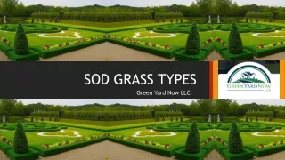 SOD GRASS TYPES | Green Yard Now LLC