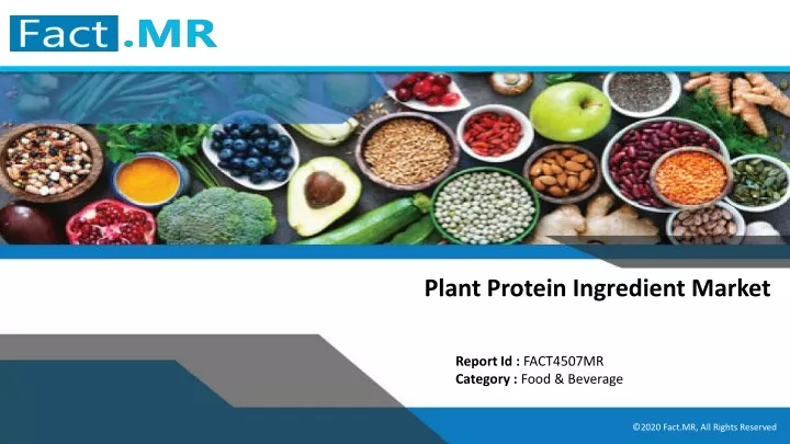 plant protein ingredient market