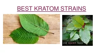 kratom strains