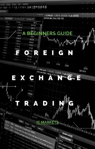 A Beginners Guide to Foreign Exchange Trading