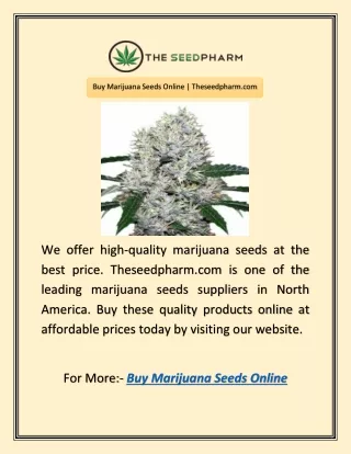 Buy Marijuana Seeds Online | Theseedpharm.com