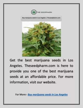 Buy marijuana seeds in Los Angeles | Theseedpharm.com