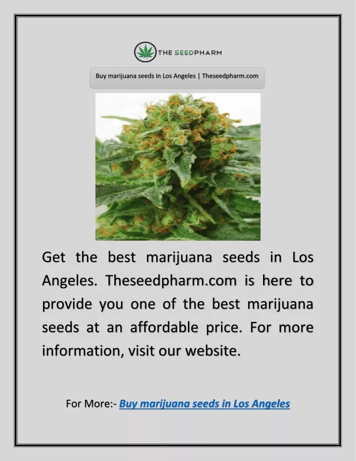 buy marijuana seeds in los angeles theseedpharm