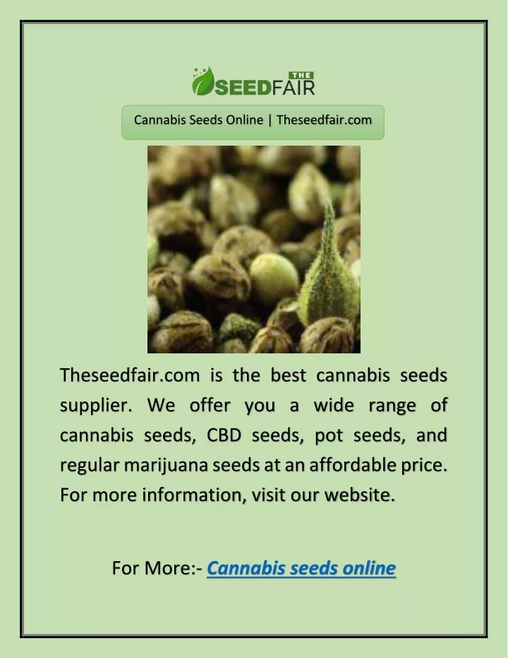 cannabis seeds online theseedfair com
