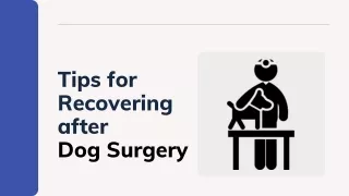 tips for recovering after dog surgery