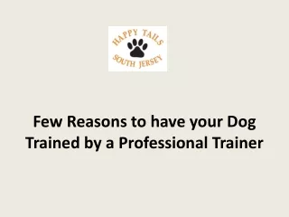 Dog Trained by a Professional Trainer