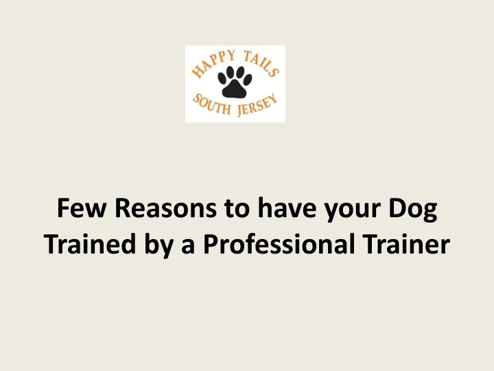few reasons to have your dog trained by a professional trainer
