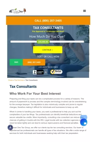 Tax consultants