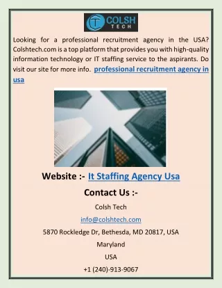 It Staffing Agency Usa df