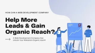 How Can A Web Development Company Help More Leads & Gain Organic Reach