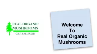 Magic Mushroom Grow Kits