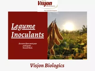 Legume Inoculants