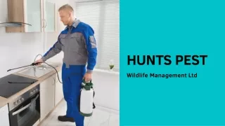 hunts pest
