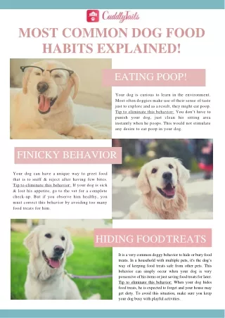 Most Common Dogs Food Habits Explain!