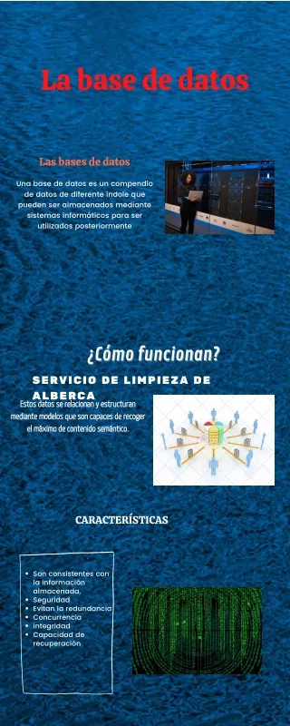 la base de datos