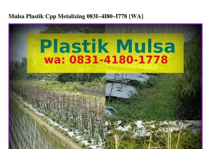 mulsa plastik cpp metalizing 083i 4i80 i778 wa
