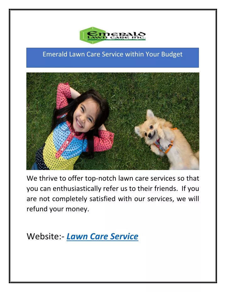 emerald lawn care service within your budget