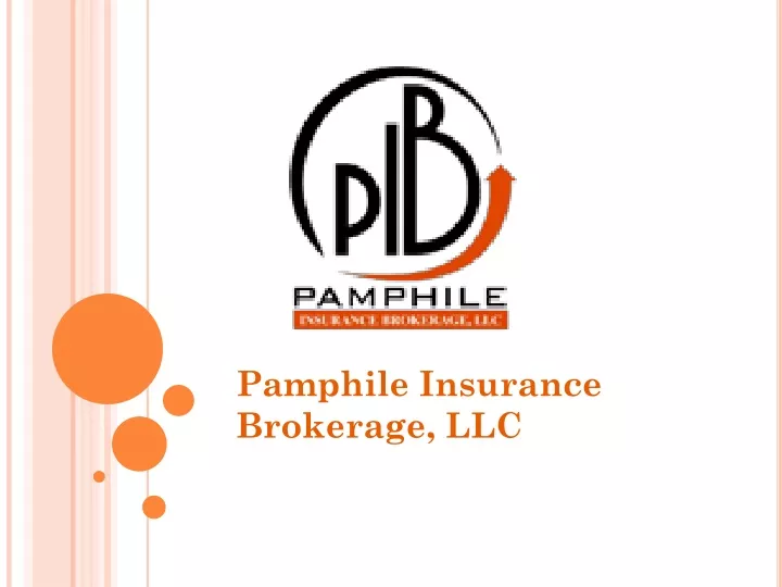 pamphile insurance brokerage llc