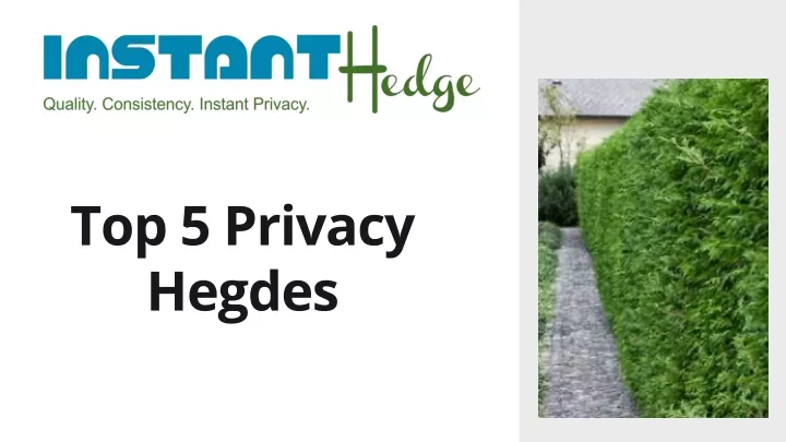 top 5 privacy hegdes