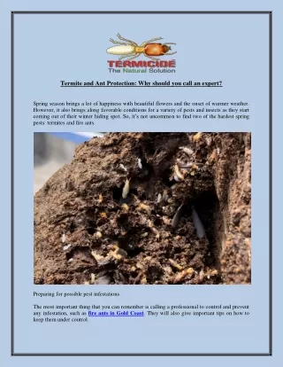 termite and ant protection why should you call
