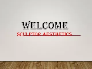 Sculptor Aesthetics