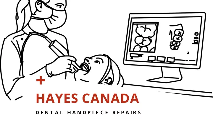 hayes canada