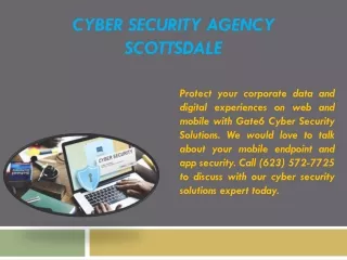 Cyber Security Agency Scottsdale