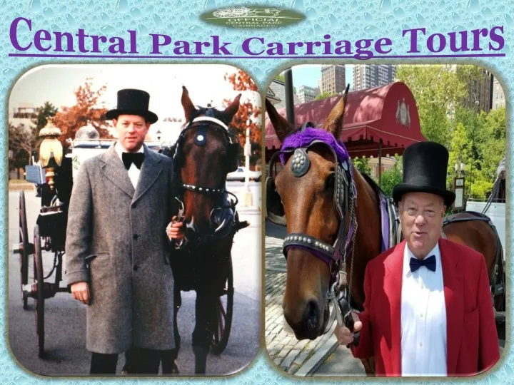 central park carriage tours