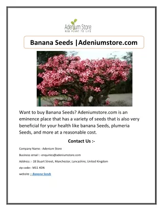 Banana Seeds |Adeniumstore.com