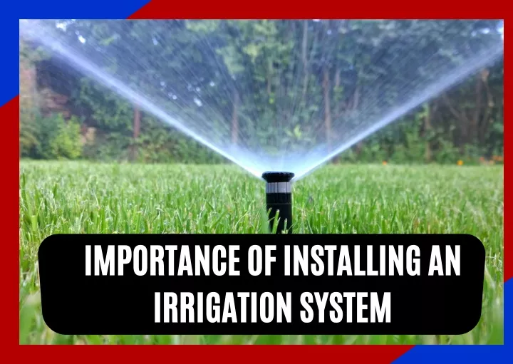 importance of installing an irrigation system