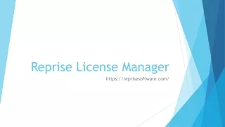 Reprise License Manager