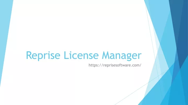 reprise license manager