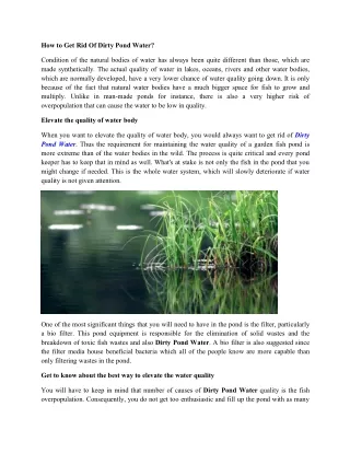 how to get rid of dirty pond water