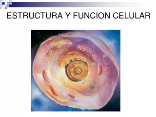 estructura y funcion celular
