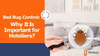 Bed Bug Control Why It Is Important for Hoteliers