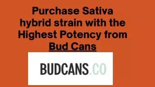 Purchase Sativa hybrid strain with the Highest Potency from Bud Cans