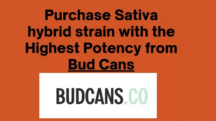 purchase sativa hybrid strain with the highest